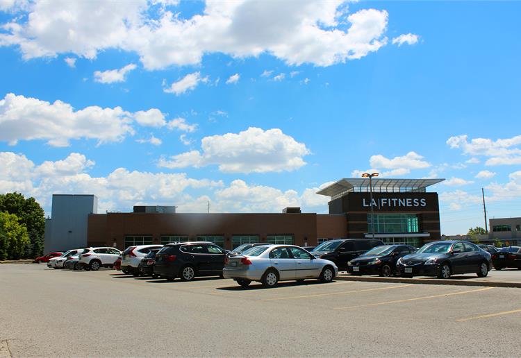 woodbine 6
